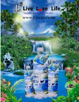 L3 Mountain Spring Water