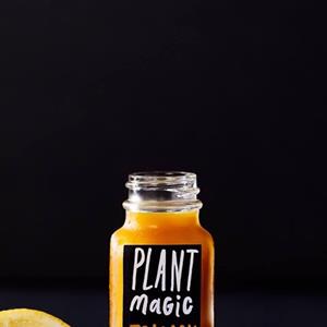 Plant Magic