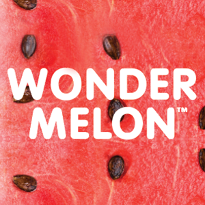 Wonder Melon