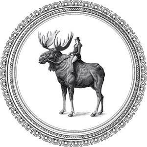 Archer Roose