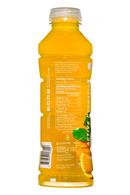 Agua Enerviva: AquaEnerviva-20oz-ActiveHydration-OrangePassion-Facts
