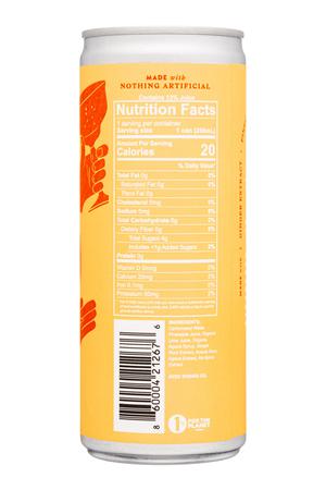 AVEC Drinks: Avec-8oz-2022-CarbMixer-Ginger-Facts
