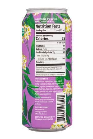 Babe Kombucha: Babe-16oz-2023-YerbaMate-PassionOrangeGuava-Facts