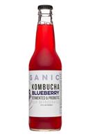 BAO: BaoFoods-Kombucha-12oz-Blueberry-Front