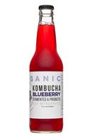 BaoFoods-Kombucha-12oz-Blueberry-Front