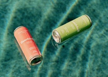 Beachball - Beachball Cold Brewed Tea