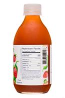 Bear's Fruit: BearsFruit-10oz-Kombucha-StrawbJalapeno-Facts