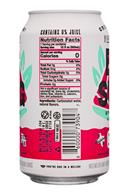 Big Swig: BigSwig-12oz-SparklingWater-WatermelonMint-Facts