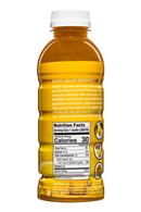 Bonta: BontaHydration-DietNutrients-17oz-Radiance-LemonGinger-Facts