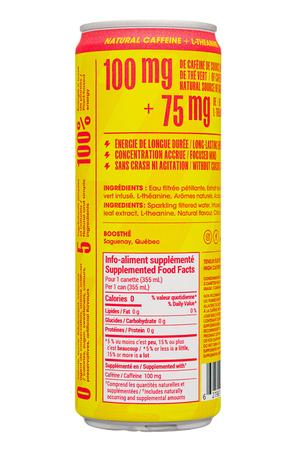 Boosthe: Boosthe-355ml-2023-PassionMango-Facts