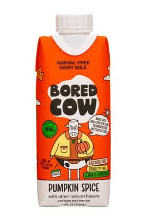 Bored Cow: BoredCow-11oz-2024-PumpkinSpice-Front