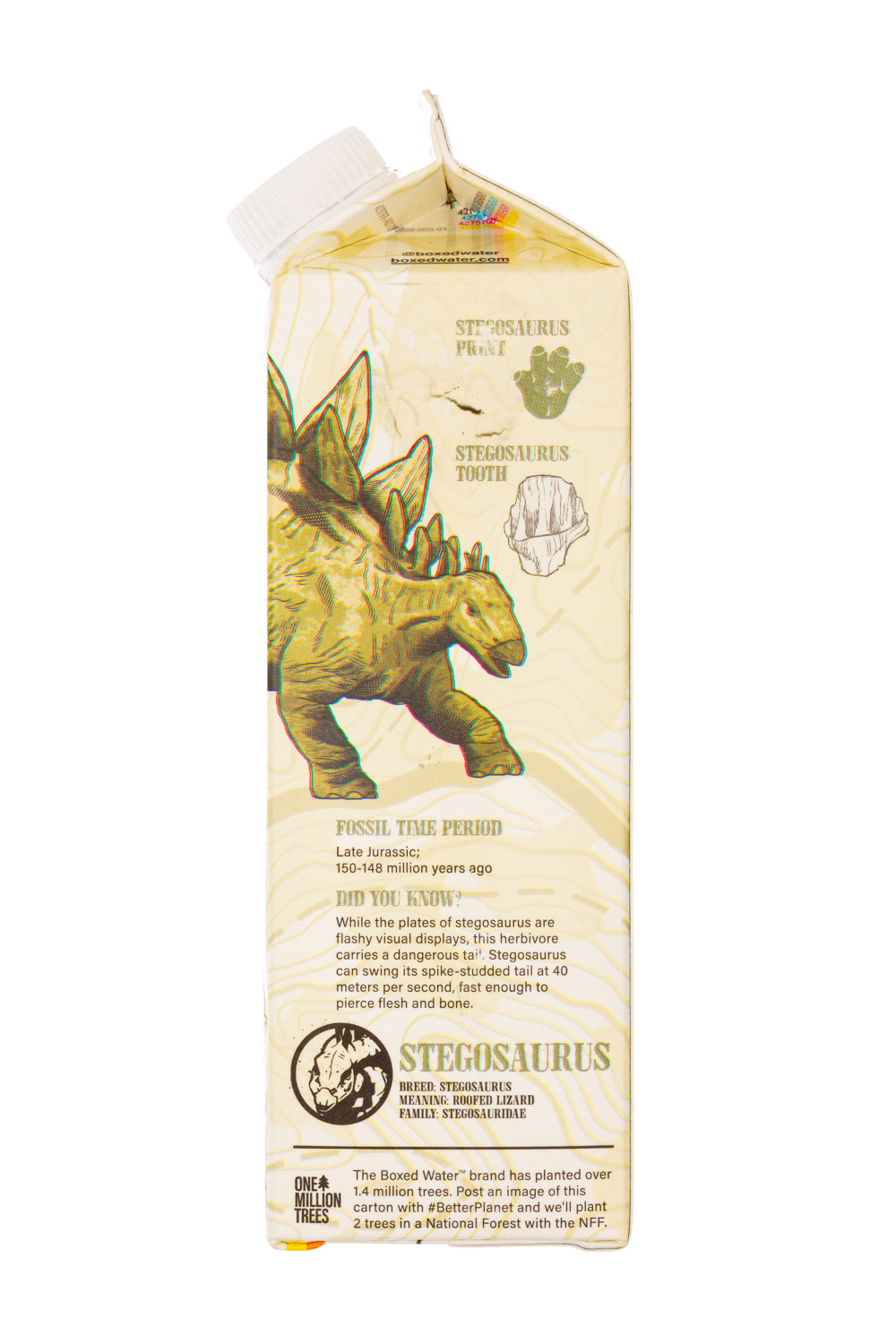 Boxed Water Is Better: BoxedWater-32oz-2023-JurassicWorld-Stegosaurus-Facts