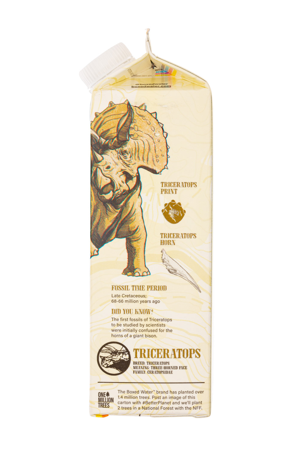 Boxed Water Is Better: BoxedWater-32oz-2023-JurassicWorld-Triceratops-Facts