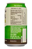 Brew Dr. Kombucha: BrewDr-12ozCan-MintLemonade-Facts