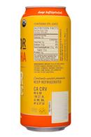 Brew Dr. Kombucha: BrewDr-16oz-Kombucha-GingerTurmeric-Facts