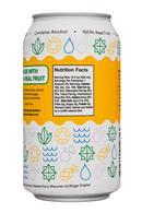 Briggs: Briggs-12oz-HardSeltzer-Pineapple-Facts