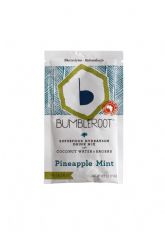 Pineapple Mint Hydration Mix