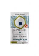 Bumbleroot: BumbleRoot PineappleMint Front