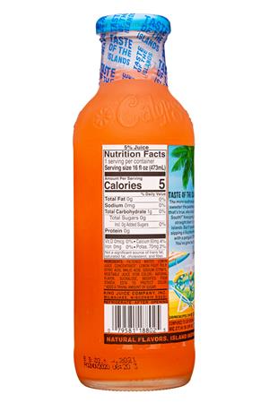 Calypso-16oz-2021-Light-SouthernPeach-Facts