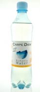 Carpe Diem: vitalizingwater.jpg