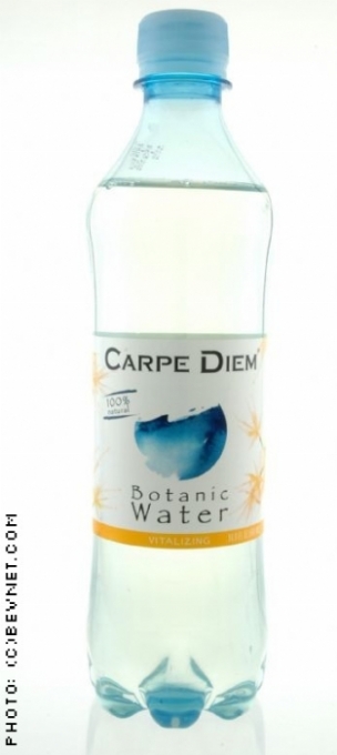 Carpe Diem: vitalizingwater.jpg