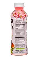 CEO: Clean Energy On-Demand: CEO-16oz-EnergyBev-WatermelonLimeMint-Facts