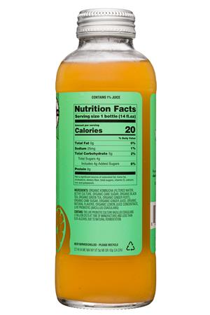 ClearlyKombucha-14oz-2020-GingerMintLemonade-Facts