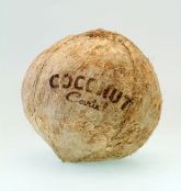 Coconut Cartel