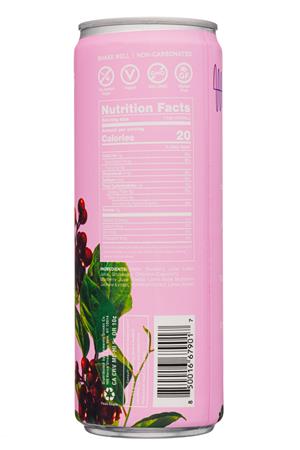 Elements by Lokai: ElementsByLokai-12oz-2020-WellDrink-Focus-Facts