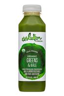 Evolution Fresh: EvolutionFresh-15oz-ColdPressed-GreensKale-Front