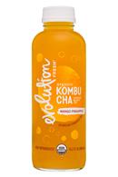 Evolution Fresh Kombucha: EvolutionFresh-15oz-Kombucha-MangoPineapple-Front