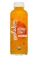 EvolutionFresh-15oz-Kombucha-TurmericPineappleCoconut-Front