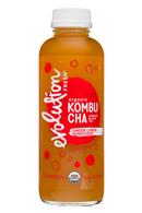 Evolution Fresh Kombucha: EvolutionFresh-15oz-Kombucha-GingerLemonHoney-Front
