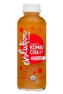 EvolutionFresh-15oz-Kombucha-GingerLemonHoney-Front