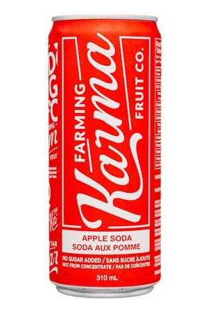 Farming Karma: FarmingKarmaFruitCo-285ml-2023-Soda-Apple-Front