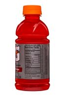 Gatorade G Series: Gatorade-12oz-FruitPunch-Facts