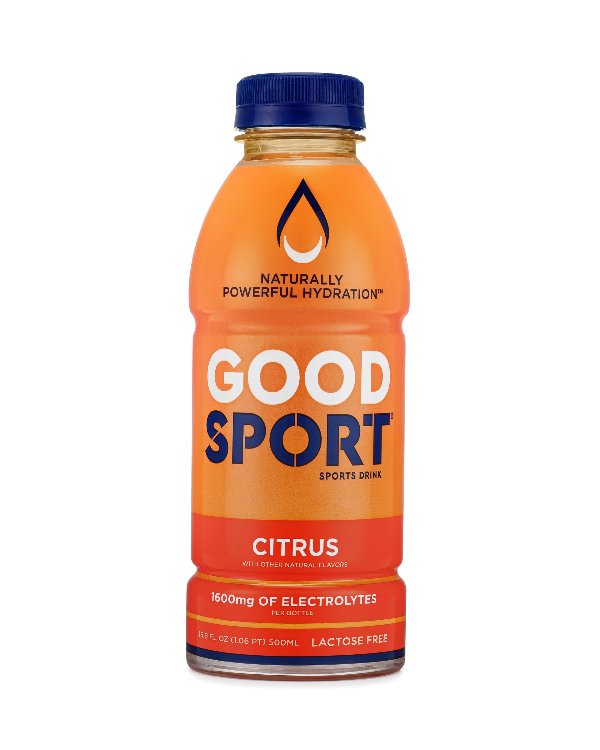 GoodSport: Photo of Citrus (2021) - GoodSport (uploaded by company)