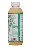 GT's Aqua Kefir: GTs-16oz-AquaKefir-CoconutLimeMint-Facts