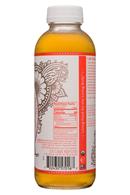 GT's Aqua Kefir: GTs-16oz-AquaKefir-TropicalPeach-Facts