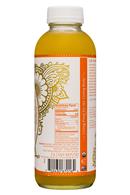 GT's Aqua Kefir: GTs-16oz-AquaKefir19-OrangePeachMango-Facts