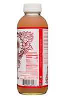 GT's Aqua Kefir: GTs-16oz-AquaKefir19-PinkGrape-Facts