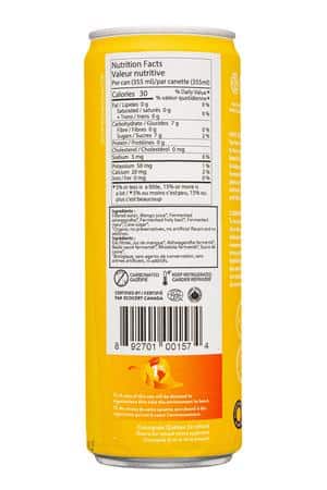 Gutsy: Gutsy-355ml-2023-Adapt2-Mango-Facts
