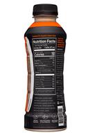 HALO: Halo-16oz-Sport19-BloodOrange-facts
