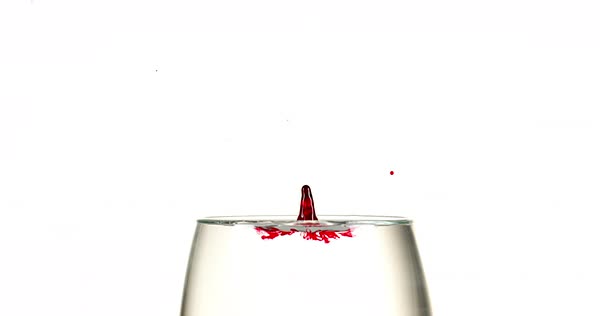 Hibiscus Farm: Photo of 100% Mexican Hibiscus Flower Extract of High Concentration  - Hibiscus Farm (uploaded by company)