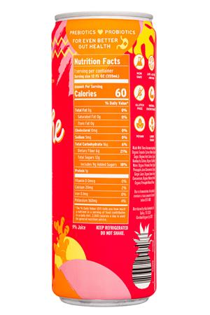 Holy Tepache: Holy-12oz-2021-Tepache-SparklingTonic-HibiscusGinger-Facts