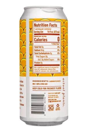 Hoplark: Hoplark-16oz-2023-Bru1-Facts