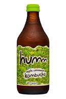 humm kombucha: Humm-14oz-Kombucha-AppleCinnamon-Front