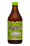 humm kombucha: Humm-14oz-Kombucha-AppleCinnamon-Front