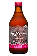 humm kombucha: Humm-14oz-Kombucha-5gSugar-RaspHops-Front