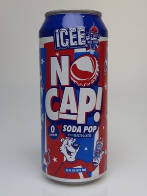 ICEE: IMG_0529